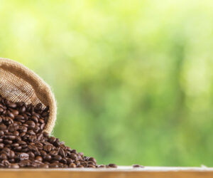 The Best Coffee Beans