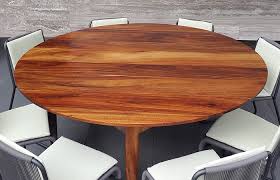 Parota Wood Prices in the U.S.: What Influences the Cost?