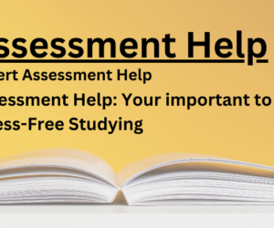 Assessment Help: Your important to Stress-Free Studying