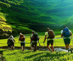 Best Deals to Book Vietnam Tour Packages Online Now