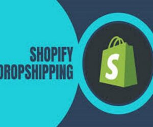 Scaling Your Shopify Dropshipping Business in 2025