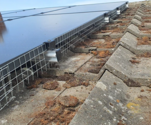 Effective Ways to Keep Birds Away from Solar Panels