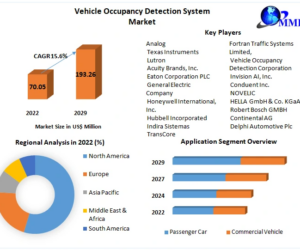 Smart Traffic Solutions Drive Vehicle Occupancy Detection Market Expansion