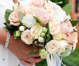Bayside Garden Centers