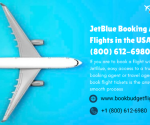JetBlue Booking Agents for Flights in the USA – Call +1 (800) 612-6980 Now!