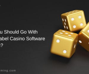 Why You Should Go With White Label Casino Software Solution?