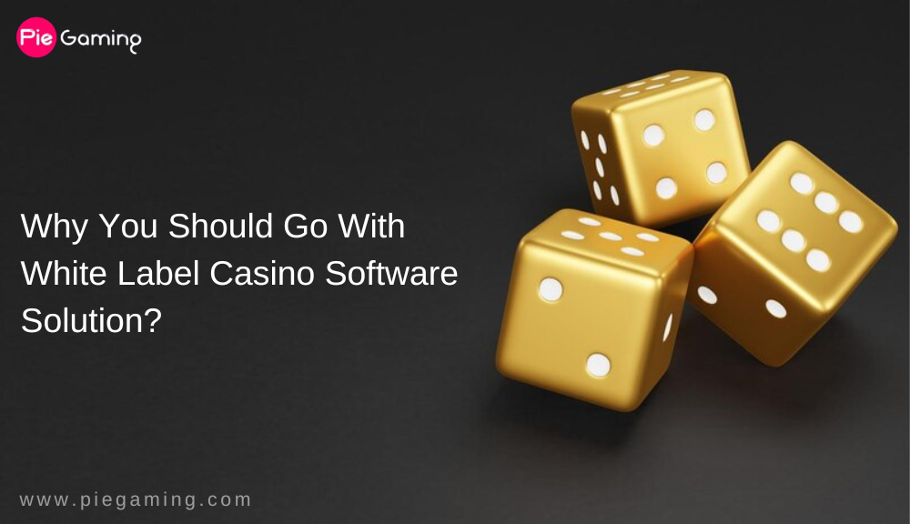 white label casino software