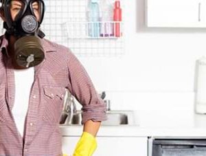 DFD Mold and Fungus Removal – Professional Solutions for Your Home