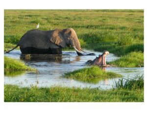 Where Should You Go on an African Flying Safari?