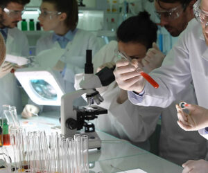 Scope of the BS Medical Laboratory Sciences