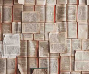 Content Moderation Best Practices for Businesses in Regulated Industries