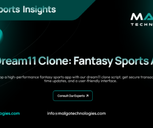 Achieve Rapid Success in Fantasy Sports with Dream11 Clone Script