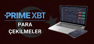 Exploring Spot Trading on PrimeXBT A Comprehensive Guide Exploring Spot Trading on PrimeXBT A Comprehensive Guide