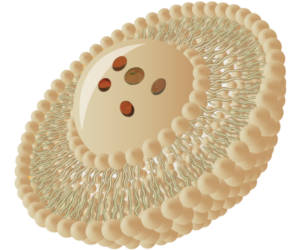 Liposomal Vitamins Manufacturers: Innovation in Supplement Production Introduction