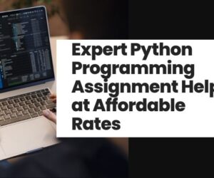 Expert Python Programming Assignment Help at Affordable Rates