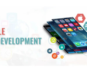 Who Could Help Me with Mobile App Development?