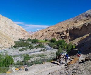 Exploring Ladakh’s Iconic Treks: Parang La Trek, Sham Valley Trek, and Kang Yatse 2 Trek