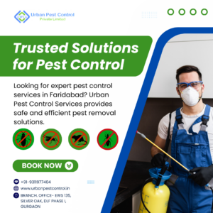 pest control