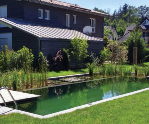 Swimming Ponds With Natural Pools On The West Coast