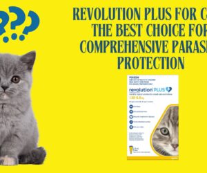 Revolution Plus for Cats: The Best Choice for Comprehensive Parasite Protection