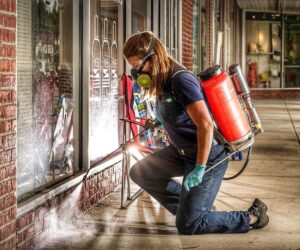Protecting Vancouver Homes: Expert Insights into Effective Pest Control in Vancouver