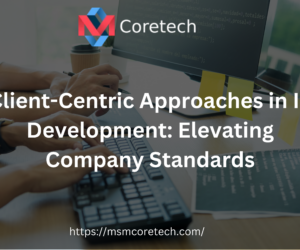 Where Technology Meets Strategy Professional IT Development Services