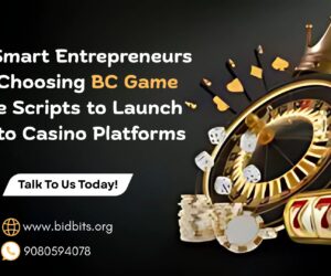 Why Smart Entrepreneurs Are Choosing BC Game Clone Scripts to Launch Crypto Casino Platforms