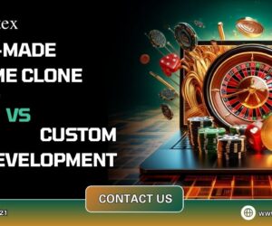 Ready-made BC.Game Clone Script vs Custom Development: Which One is best?