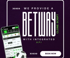 Experience Fast ROI with a Powerful Betway Clone Script