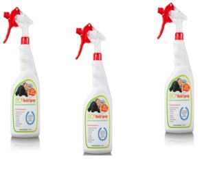 Effective Methods for Removing Mold from Wood