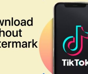 How to Download TikTok Videos Without Watermark in 2025 