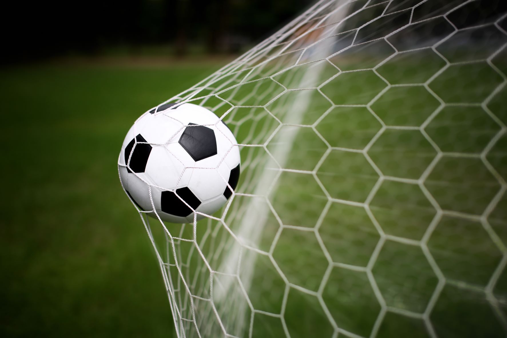 Uses of Sports Nets