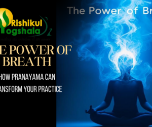 The Power of Breath: How Pranayama Can Transform Your Practice
