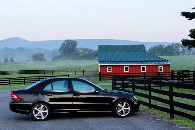 Why It’s Better to Buy a Used Car from a Local Dealer