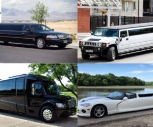 How Many People Fit in a Limousine? Your Guide to Limo Sizes and Booking Tips