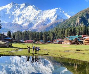 Unlock Your Next Adventure with Expert Travel Guides