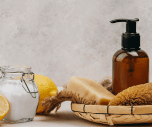 What Makes a Body Wash Truly Organic? A Deep Dive into Ingredients
