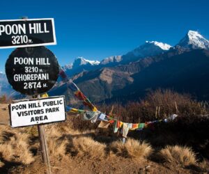 Sunrise Views That Changed My Life! (Ghorepani Poonhill Trek)