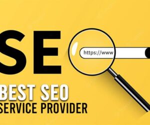 Best SEO Service Provider: What to Look for When Choosing an Agency