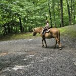horse riding Pigeon Forge TN