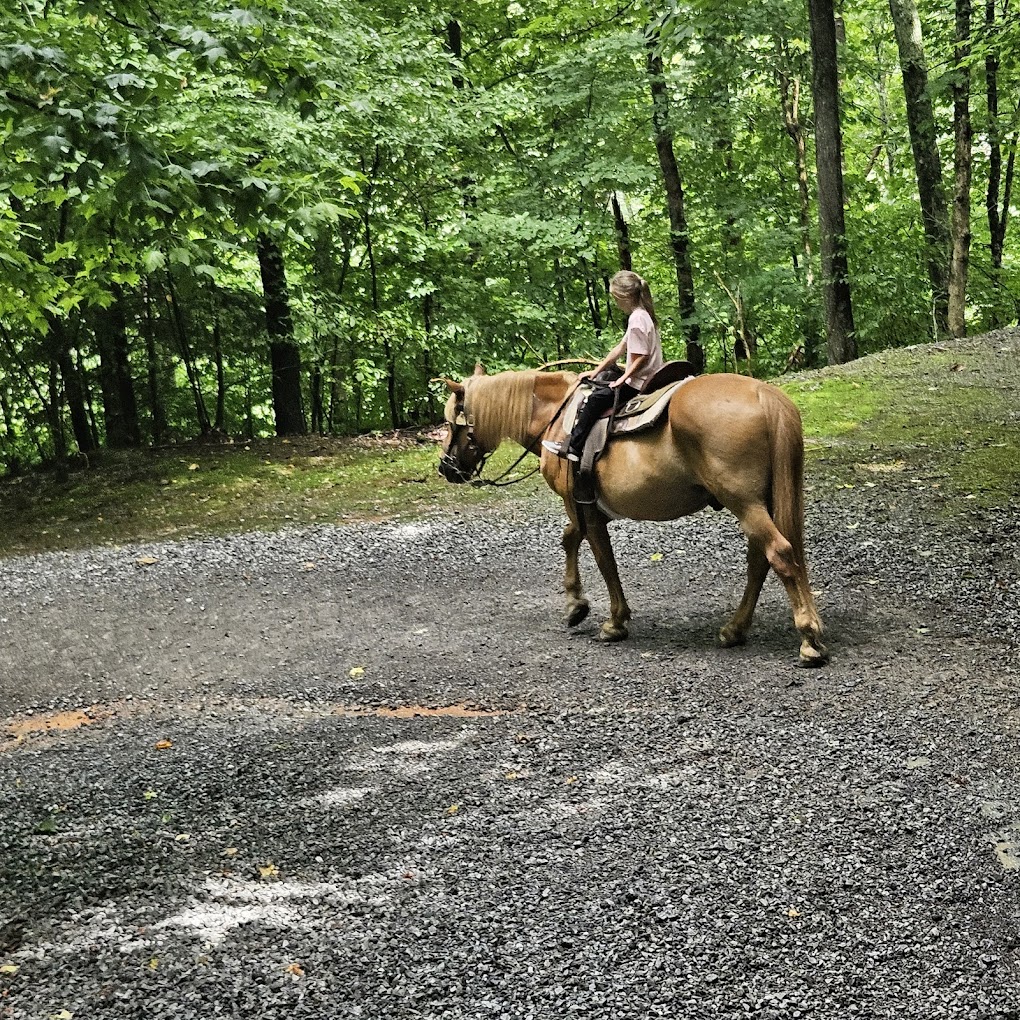 horse riding Pigeon Forge TN