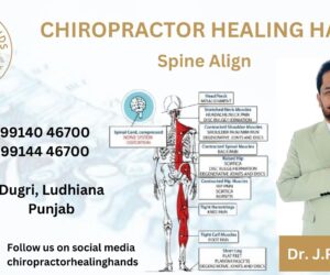 Healing hands Chiropractor | Best Hammer Therapy and Chiropractor in Ludhiana