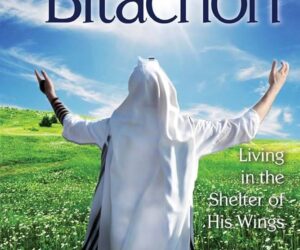 Finding Bitachon Through Meditation