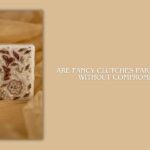 fancy clutches Pakistan