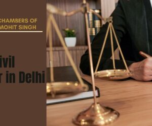 Guide to Choosing the Best Civil Lawyer in Delhi