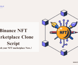 10 Must-Have Features in a Binance NFT Marketplace Clone Script