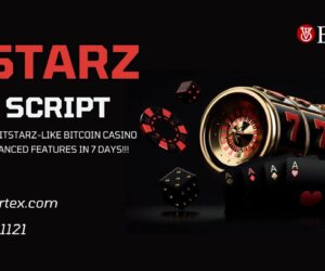 Why Bitstarz Clone Script is the Future of Online Crypto Casinos in 2025?