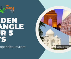 Golden Triangle in 5 Days: A Fast-Track Tour of India’s Cultural Gems