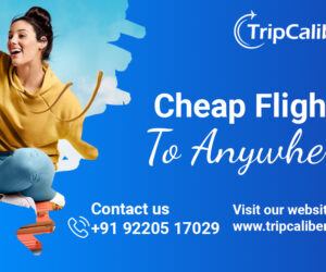 Find Cheap Flights to Anywhere with TripCaliber