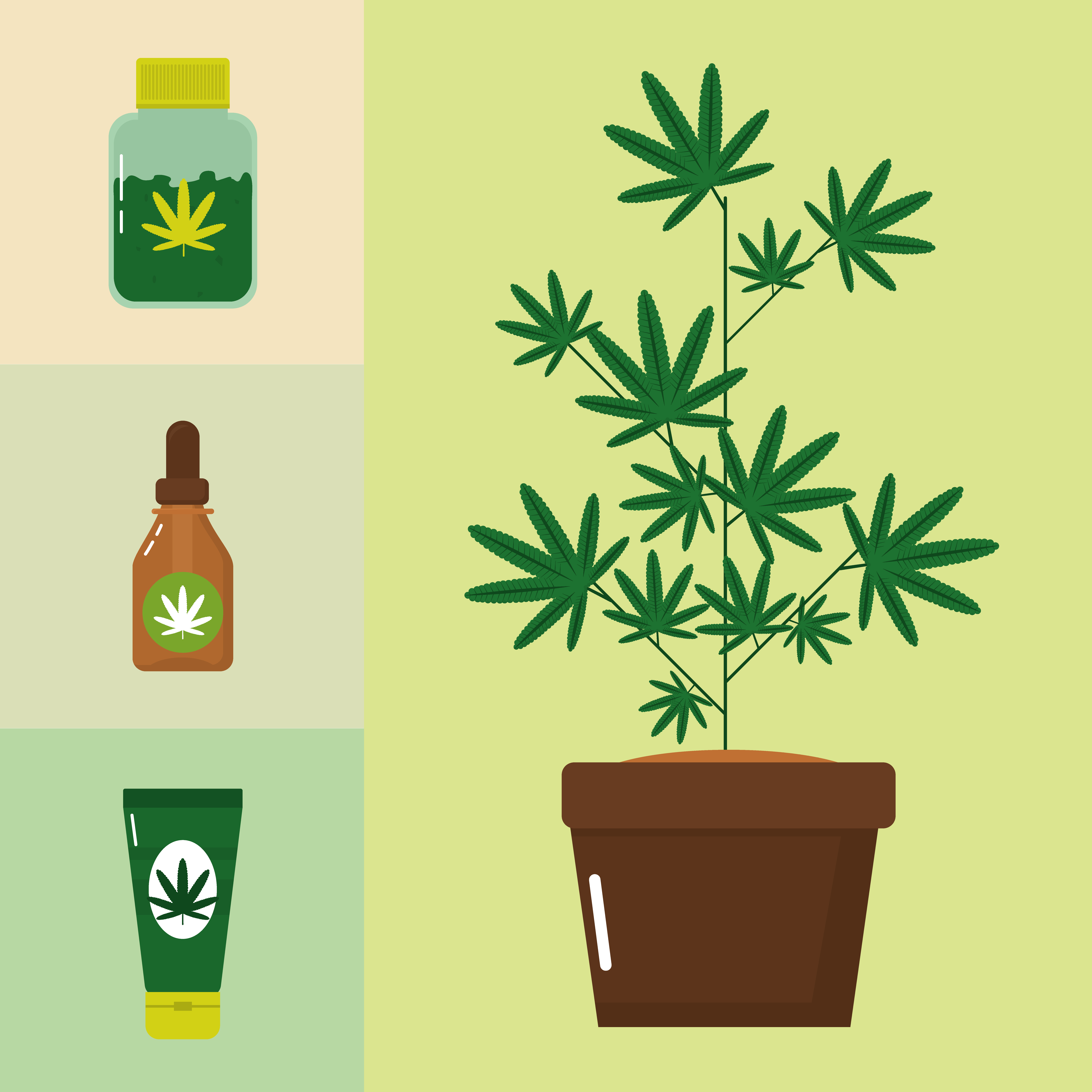 Flower Strains for Sleep